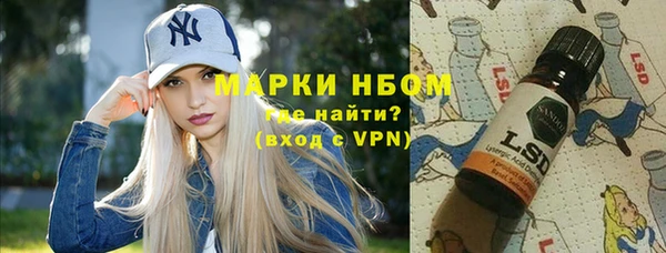ГАЛЛЮЦИНОГЕННЫЕ ГРИБЫ Инсар