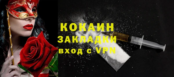 ГАЛЛЮЦИНОГЕННЫЕ ГРИБЫ Инсар