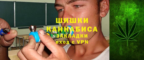 ГАЛЛЮЦИНОГЕННЫЕ ГРИБЫ Инсар