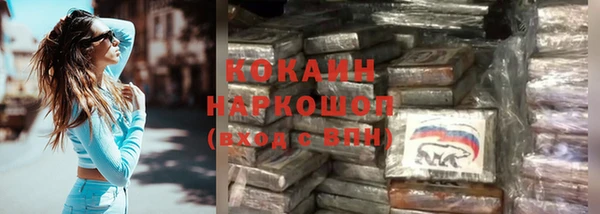 ГАЛЛЮЦИНОГЕННЫЕ ГРИБЫ Инсар