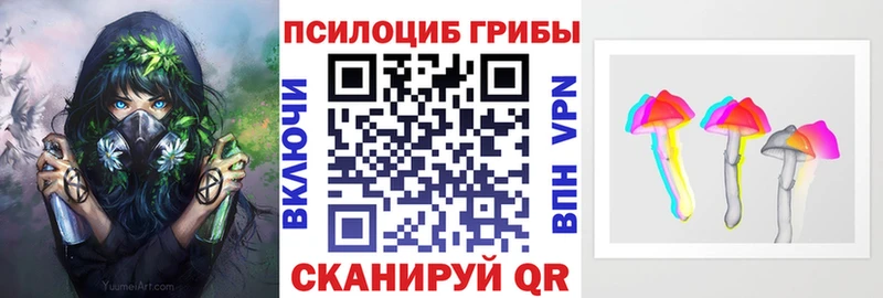 ОМГ ОМГ   Льгов  Галлюциногенные грибы Cubensis  где купить наркоту 