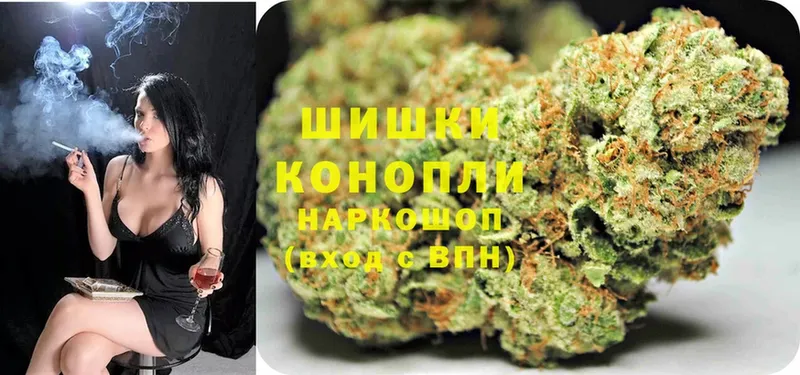 Бошки марихуана Amnesia  где найти   Льгов 